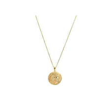 Load image into Gallery viewer, Gold Coin Medallion Necklace
